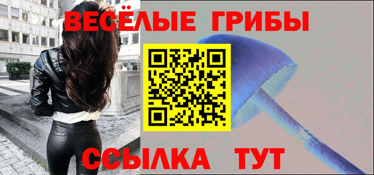 Янаул  Галлюциногенные грибы Psilocybe  Вход с VPN 